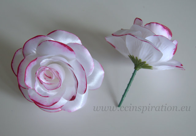 Saténová ruža - biela  s ružovým okrajom